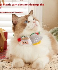 04d6f903 a6f3 4281 99ac 631367b56c4b trans