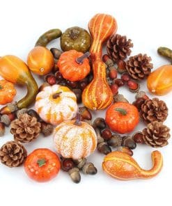 Pumpkin props for Thanksgiving