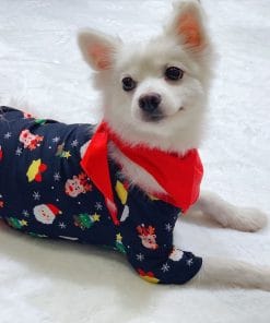 Family Christmas Matching Pajamas Set Christmas Pajamas For Family Christmas PJS Xmas Sleepwear 13 391ab600 8f6e 45f9 8825 ce33b8cd8f92