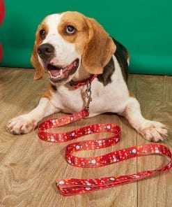 Christmas Collar Pet Hand Holding Rope Dog Leash