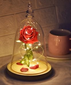 Glass Cover Rose LED Supper Light Valentine Day