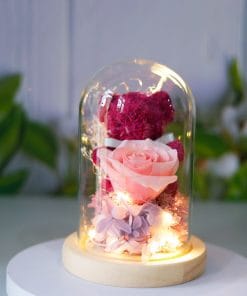 6cec0a58 ab3e 42b8 a19f f87a336cd96d