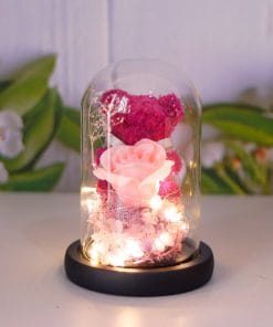 85e024ac f1bd 4981 804d ec5e8863871f