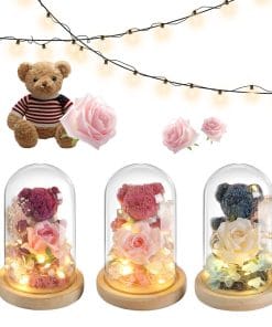 8d6f3f02 1881 4d66 ab6c f8b9f8c98dfc