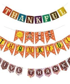 Thanksgiving Day Flag