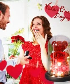 Valentine's Day Gift For Girlfriend Eternal Preserved Rose Flower Gift Box Teddy Bear Eternal Flower With Lights Gift For Women Home Decor