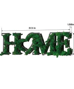 HOME Letter Art Moss Wall Hangings 12 a6c79867 d676 4b85 a4cc b462120dace7