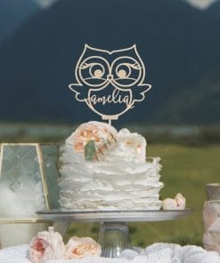 Personalized Wedding Cake Topper – Unique Designs for Every Love Story 19 b1c69008 f86d 43f2 bdbc db58b6edd078