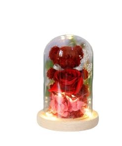 b2724389 94e9 4c12 8c2a 5da8892ca82a