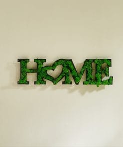 HOME Letter Art Moss Wall Hangings