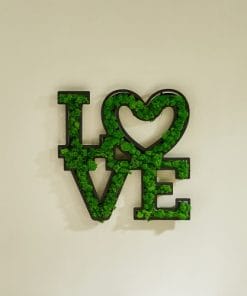LOVE Letter Art Moss Wall Decorations