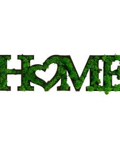 HOME Letter Art Moss Wall Hangings 10 f9cd9eb5 6259 4523 9233 177306a176cd
