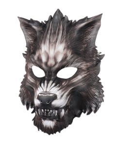 10647081215 1753303090