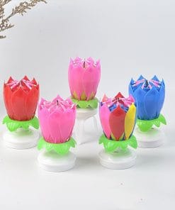 Music Lotus Birthday Music Happy Birthday Song Candle